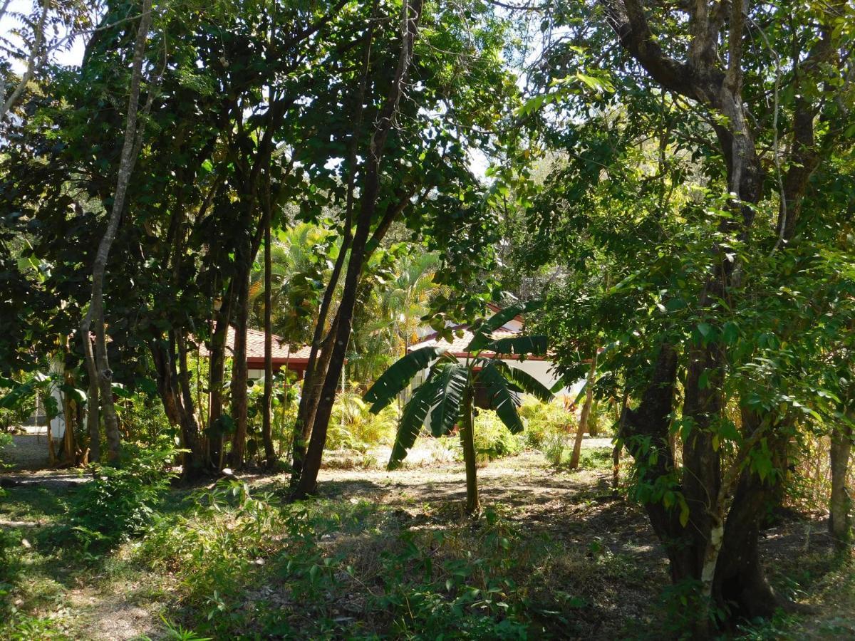 Villasjungle 1 Samara Exterior photo